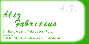 aliz fabritius business card